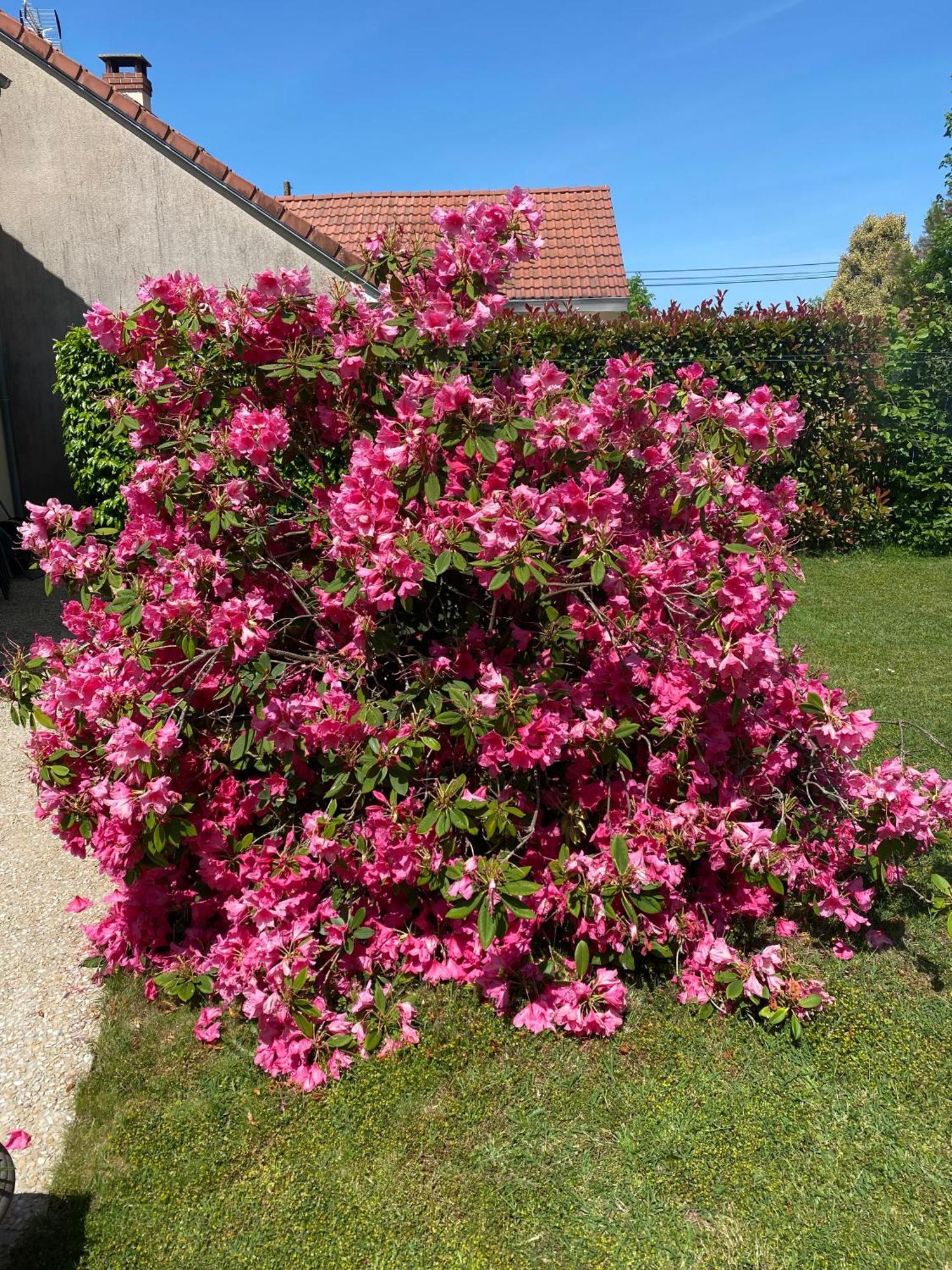 Le Petitepinay Bed & Breakfast Moitron-sur-Sarthe Luaran gambar